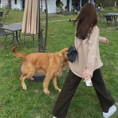 叶子